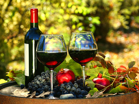 Martin Vineyard & Orchard