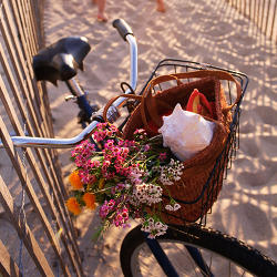 Beach Bike