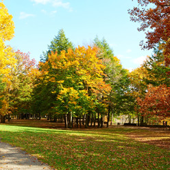 County Parks