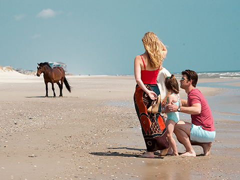 Beauty and the Beach: Corolla, NC