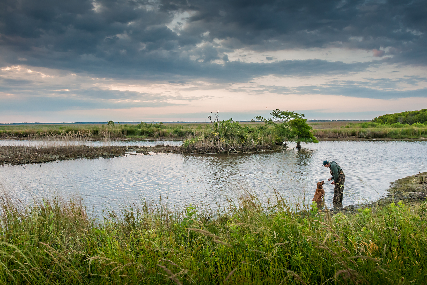 Mackay Island Wildlife Refuge