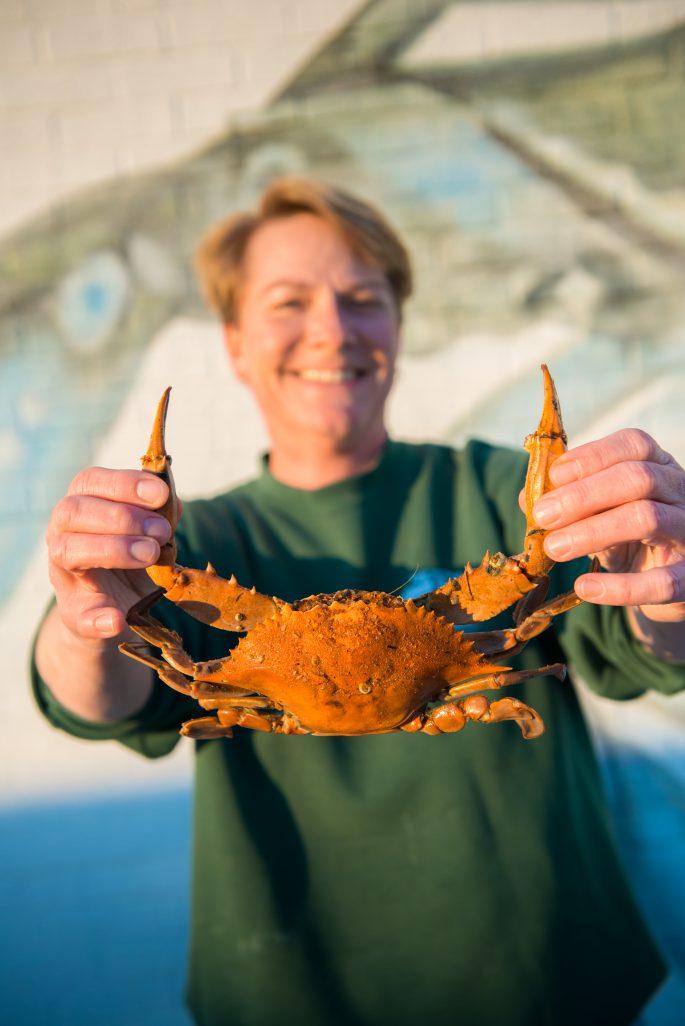 Let's Go Crabbing The Northern Outer Banks Blog