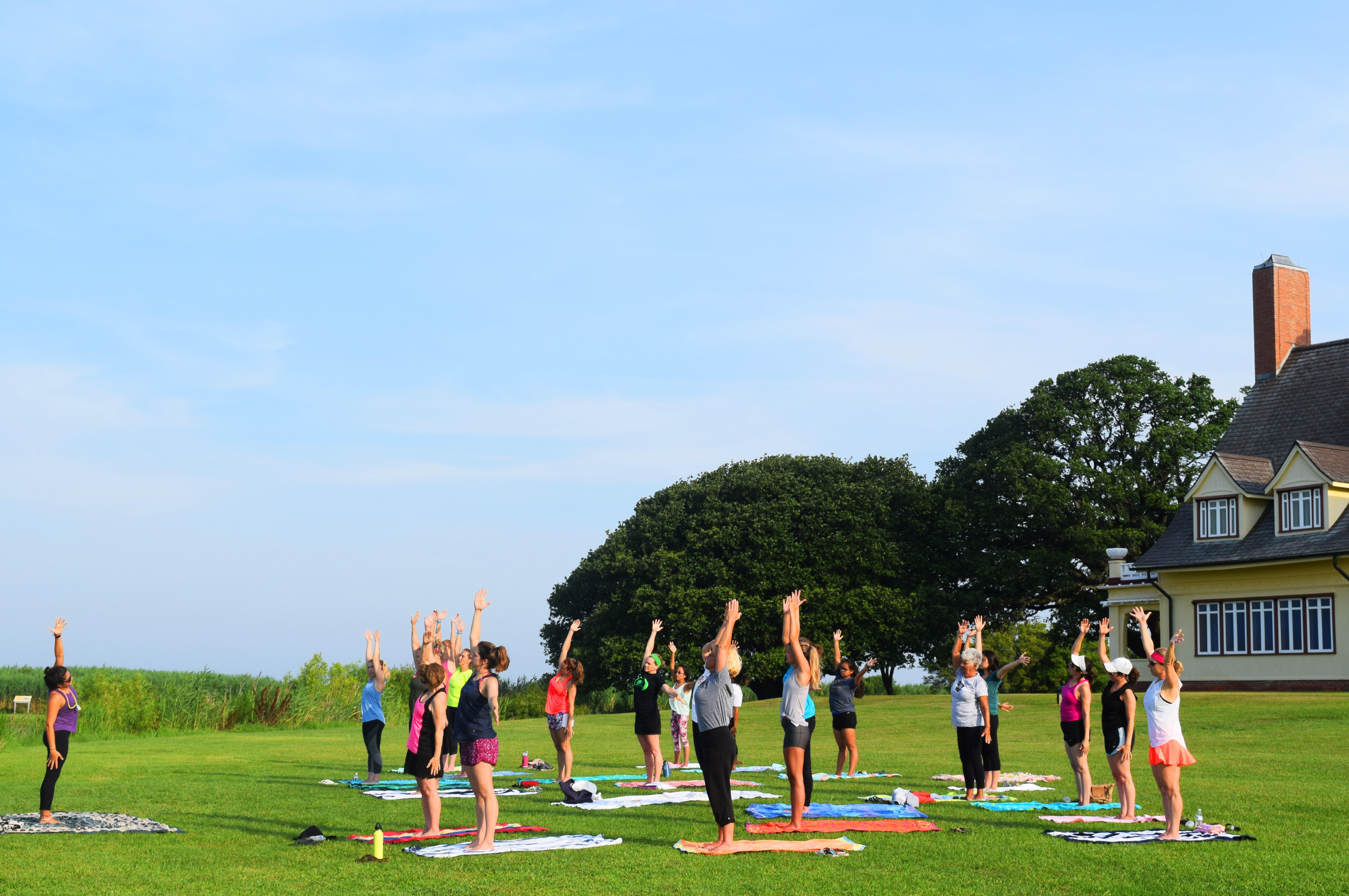 Yoga in the Park