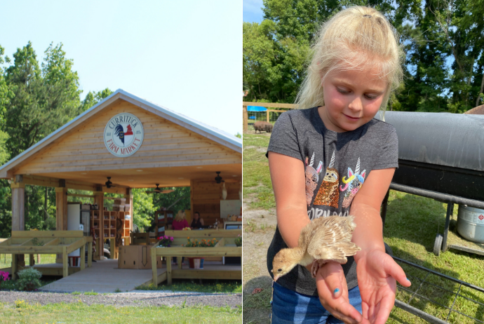 Currituck Farm Market